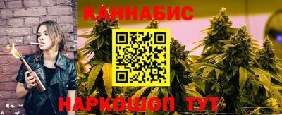 сатива Кудрово